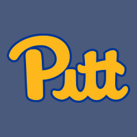 Pitt Panthers Vintage Hoodie | Teevron