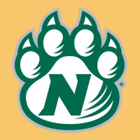 Northwest Missouri State Bearcats Vintage Hoodie | Teevron