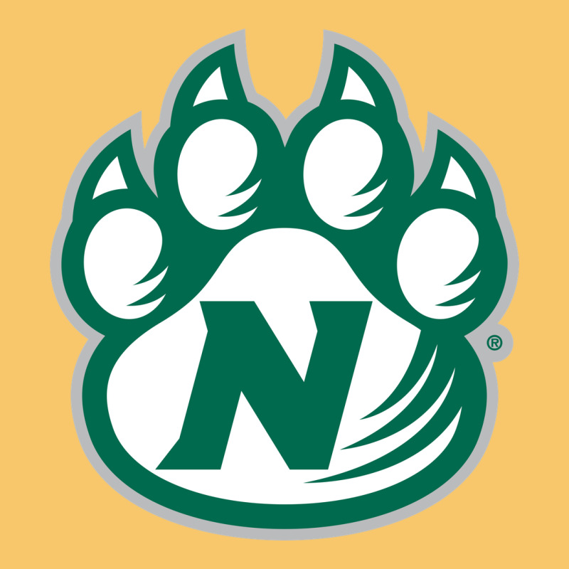 Northwest Missouri State Bearcats Vintage Hoodie by FloraArt | Teevron