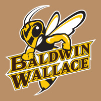 Baldwin Wallace University Yellowjackets Vintage Hoodie | Teevron