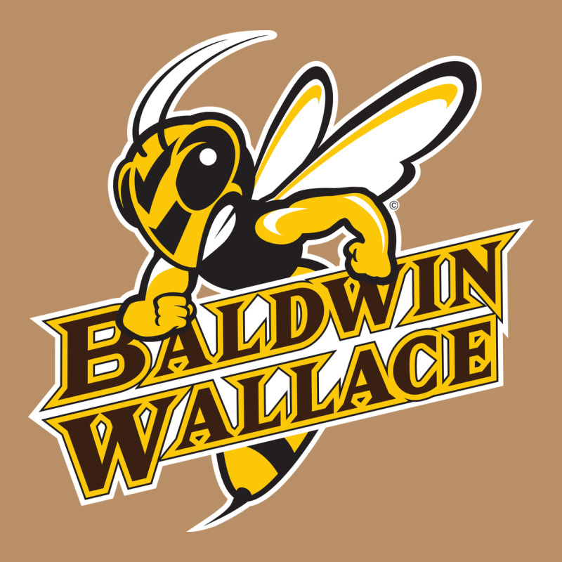 Baldwin Wallace University Yellowjackets Vintage Hoodie by FloraArt | Teevron