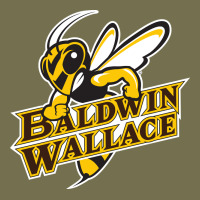 Baldwin Wallace University Yellowjackets Vintage Hoodie | Teevron