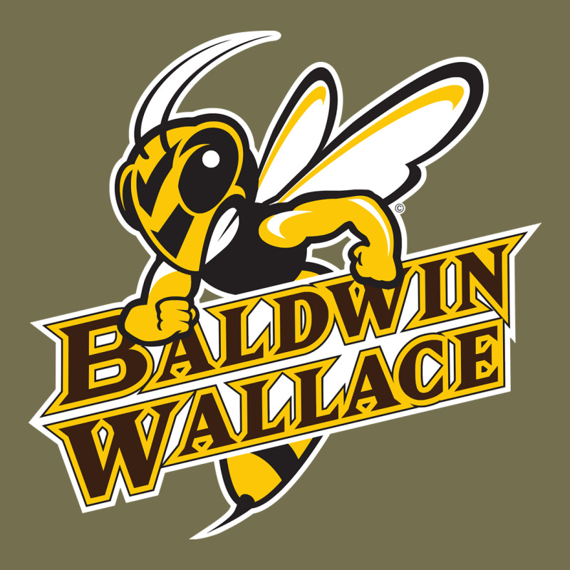 Baldwin Wallace University Yellowjackets Vintage Hoodie by FloraArt | Teevron