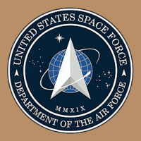 Official United States Space Force Ussf Military Patch Vintage Hoodie | Teevron