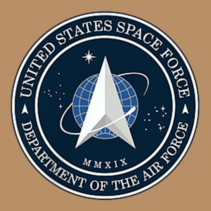 Official United States Space Force Ussf Military Patch Vintage Hoodie by FloraArt | Teevron