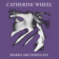 Catherine Wheel, Catherine Wheel Art, Catherine Wheel Vintage, Catheri Vintage Hoodie | Teevron