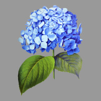 Blue  Hydrangea Vintage Hoodie | Teevron