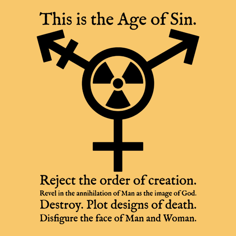 This Is The Age Of Sin   Transgender Symbol Vintage Hoodie by artisFamous | Teevron