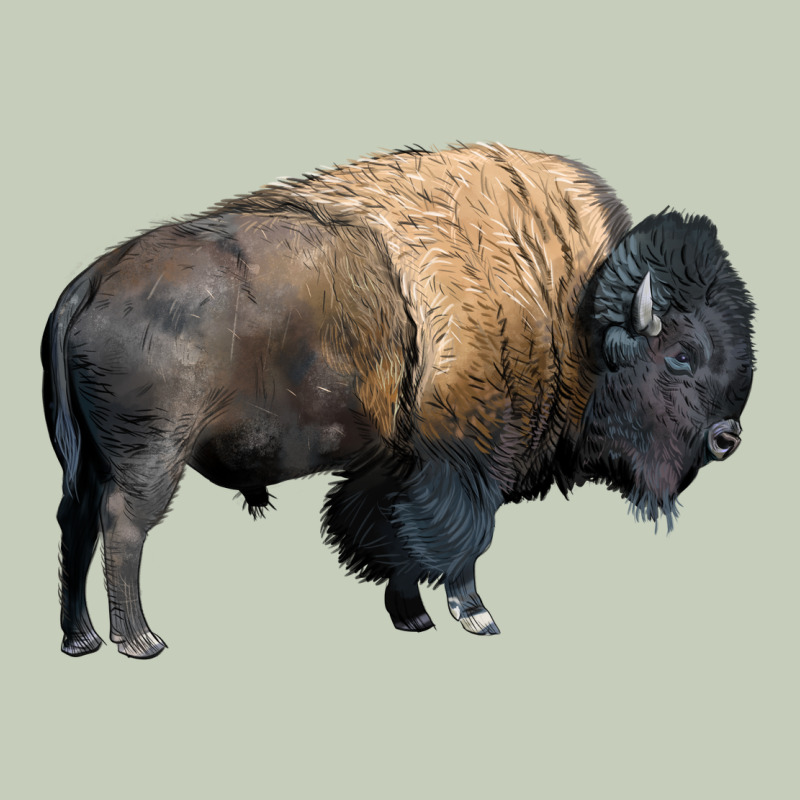 Bison Buffalo Long Sleeve Tee by LillyAllenDesigns | Teevron