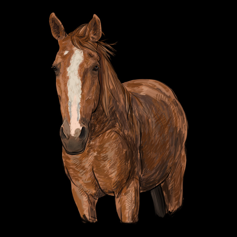Brown Horse Heavyweight Sweatshirt by RanaPortraitStore | Teevron