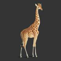 Giraffe | Teevron