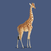 Giraffe Vintage Hoodie | Teevron