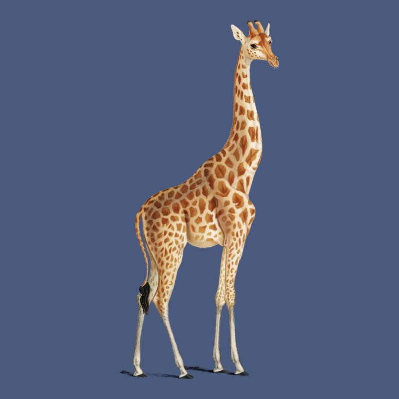 Giraffe Vintage Hoodie by artisFamous | Teevron