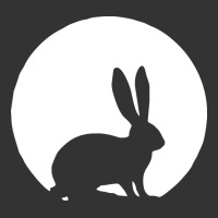 bunny and full moon funny | Teevron