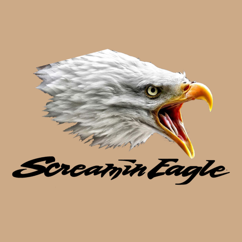 The Screaming Eagle Vintage Hoodie by artisFamous | Teevron
