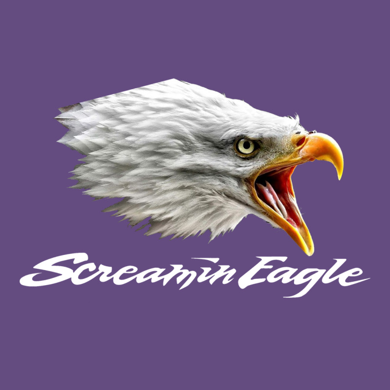 The Screaming Eagle Vintage Hoodie by artisFamous | Teevron