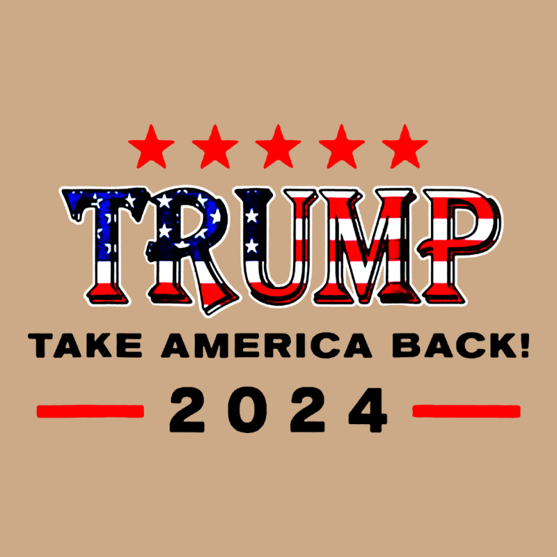 Donald Trump 2024 Take America Back Election Vintage Hoodie by artisFamous | Teevron