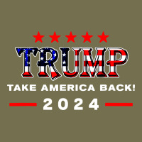 Donald Trump 2024 Take America Back Election Vintage Hoodie | Teevron