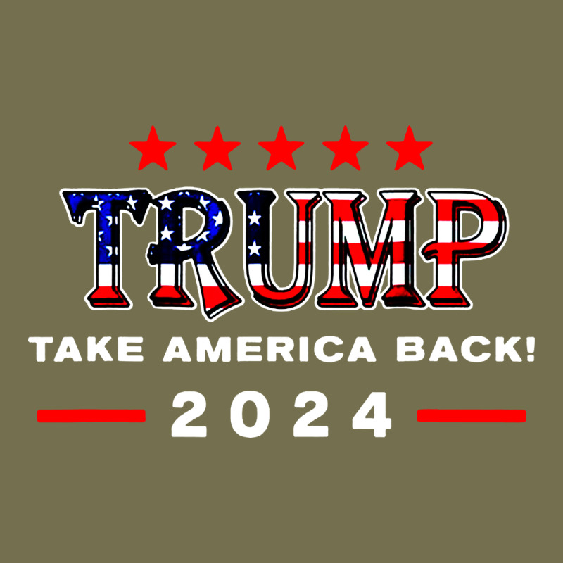 Donald Trump 2024 Take America Back Election Vintage Hoodie by artisFamous | Teevron
