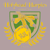 Holyhead Harpies Vintage Hoodie | Teevron