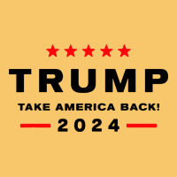 Donald Trump 2024 Take America Vintage Hoodie | Teevron