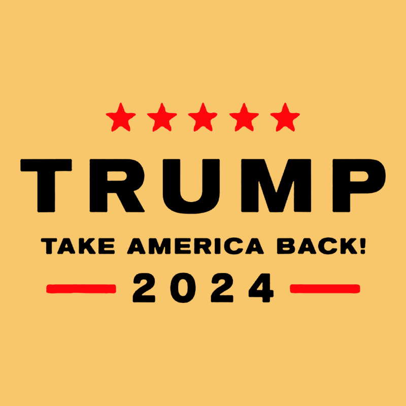 Donald Trump 2024 Take America Vintage Hoodie by artisFamous | Teevron
