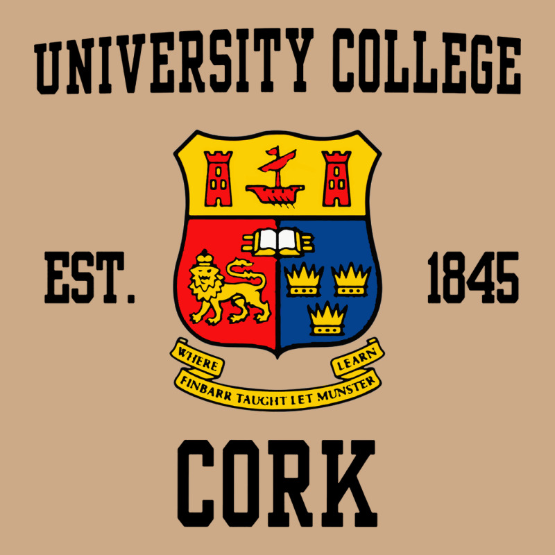 University College Cork Vintage Hoodie by artisFamous | Teevron
