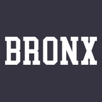 Bronx Vintage Hoodie | Teevron
