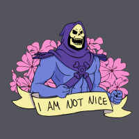 Vintage Skeletor ı Am Not Nice Vintage Hoodie | Teevron