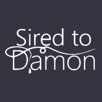 Sired To Damon Vintage Hoodie | Teevron