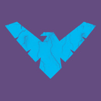 Nightwing Vintage Hoodie | Teevron