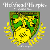 Holyhead Harpies Vintage Hoodie | Teevron