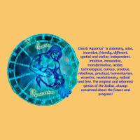 Aquarius Sign Zodiac Astrology Horoscope T-shirt Vintage Hoodie | Teevron