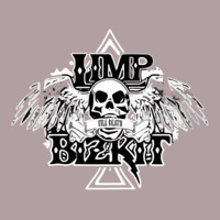Limp Bizkit Essential Vintage Hoodie | Teevron