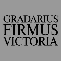 Gradarius Firmus Victoria Vintage Hoodie | Teevron