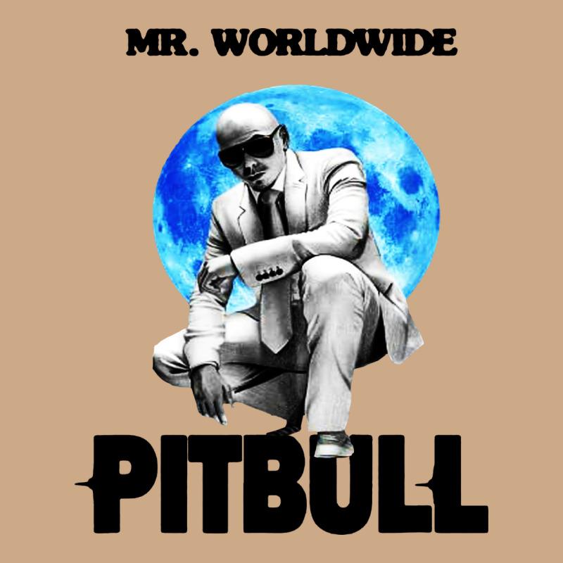 Merch Mr Worldwide Pit Bull Vintage Hoodie by artisFamous | Teevron