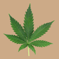 Weed Leaf Vintage Hoodie | Teevron