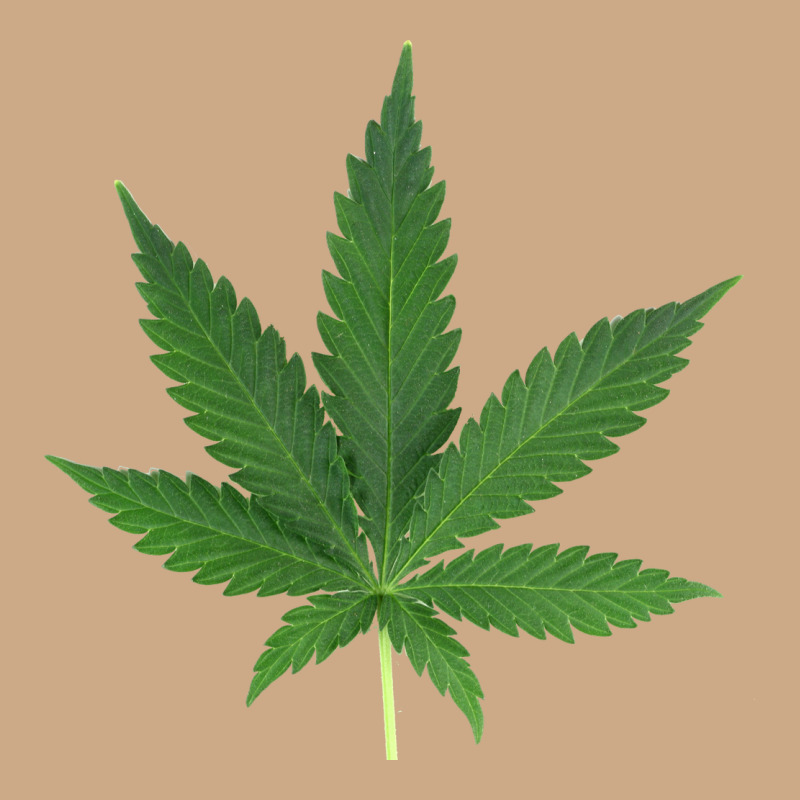 Weed Leaf Vintage Hoodie by artisFamous | Teevron