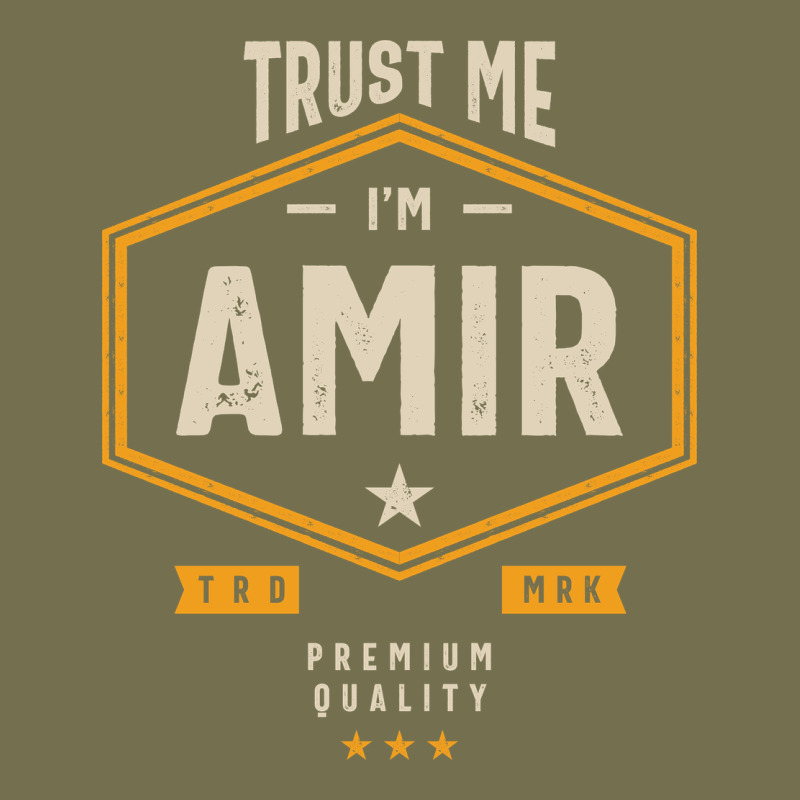Amir Personalized Name Birthday Gift Vintage Hoodie by artisFamous | Teevron