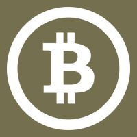 Bitcoin Vintage Hoodie | Teevron