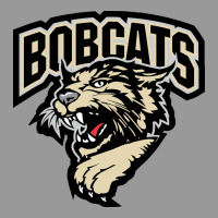 Bismarck Bobcats Vintage Hoodie | Teevron