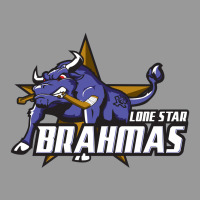 Lone Star Brahmas Vintage Hoodie | Teevron