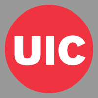 Uic College Vintage Hoodie | Teevron