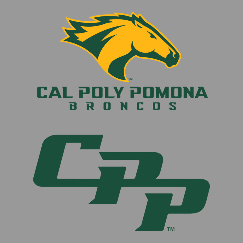 Cal Pol Pomona Vintage Hoodie by artisFamous | Teevron