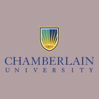 Chamberlain College Vintage Hoodie | Teevron