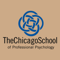 The Chicago School Of Professional Psychology Vintage Hoodie | Teevron
