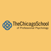 The Chicago School Of Professional Psychology Vintage Hoodie | Teevron