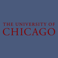 College Of Chicago Vintage Hoodie | Teevron