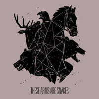 These Arms Are Snakes Vintage Hoodie | Teevron