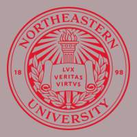 Northeastern University Vintage Hoodie | Teevron
